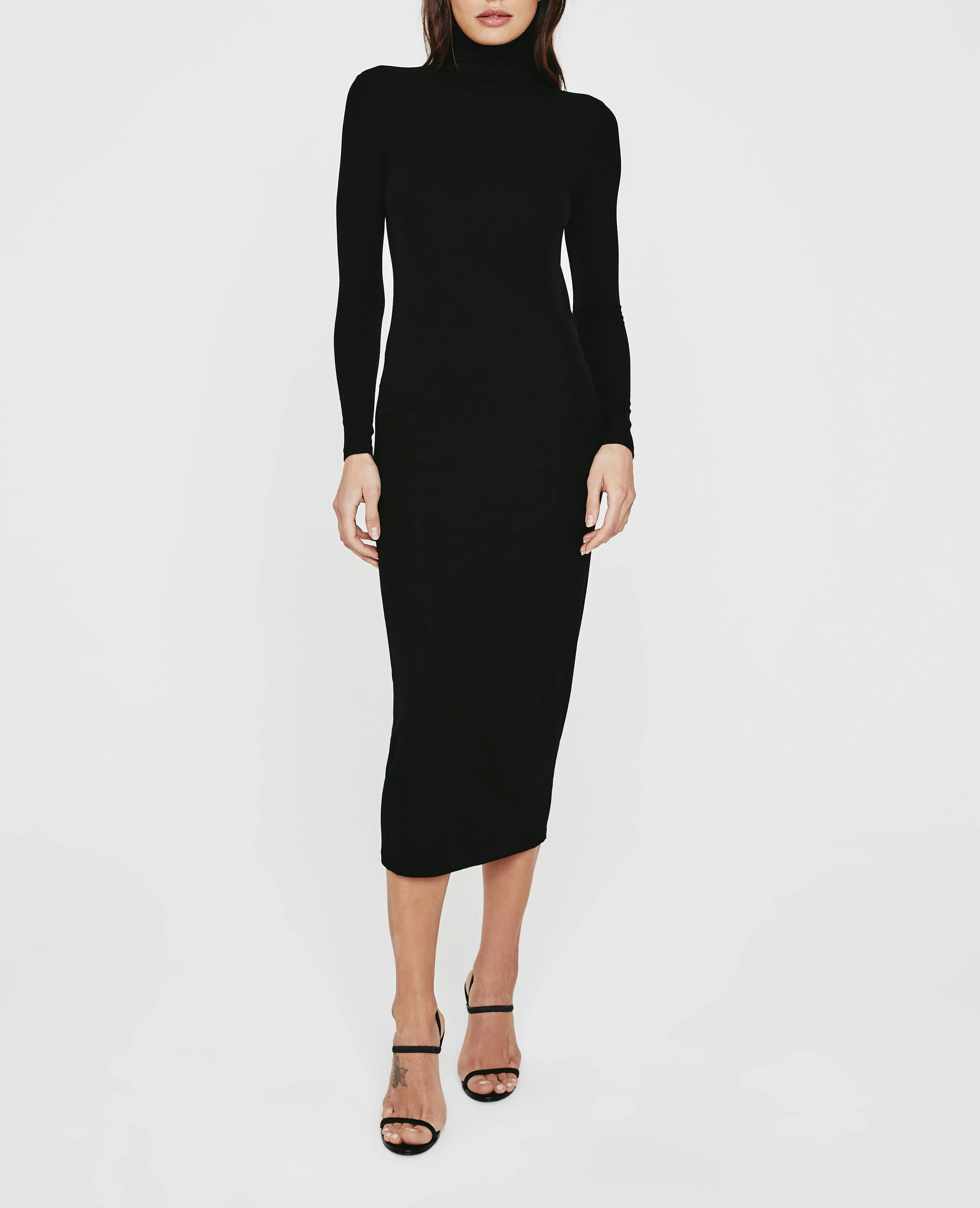 Jenny Long Sleeve Turtleneck Dress